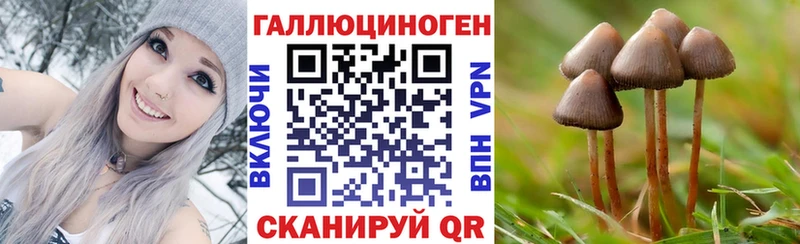 где можно купить наркотик  Щучье  Псилоцибиновые грибы GOLDEN TEACHER 