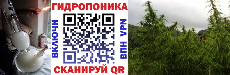 Бошки Шишки Amnesia Щучье
